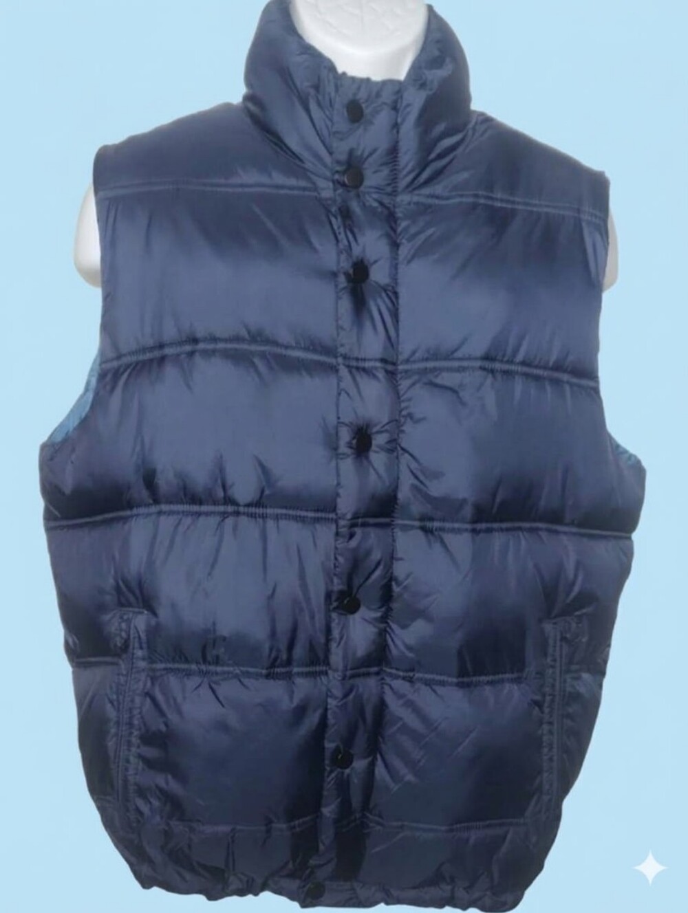 Old Navy Vest